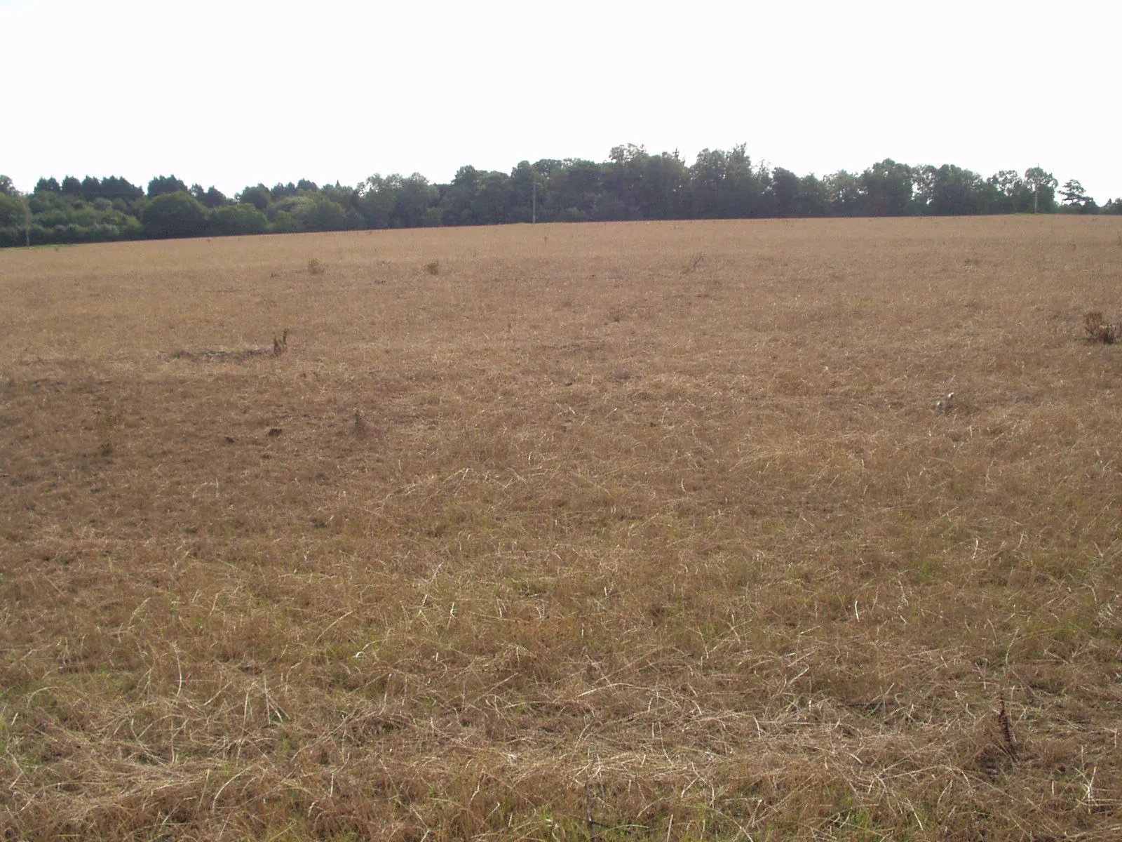Land West Of Reading Road, Sherfield On Loddon, Development