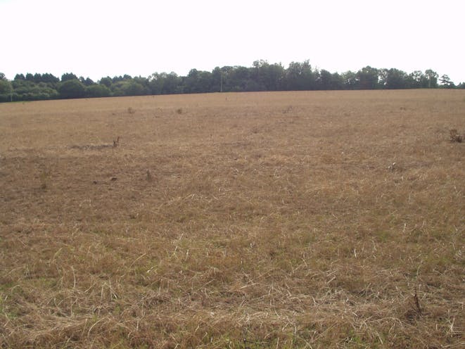 Land West Of Reading Road, Sherfield On Loddon, Development / Residential For Sale - P1010001.JPG