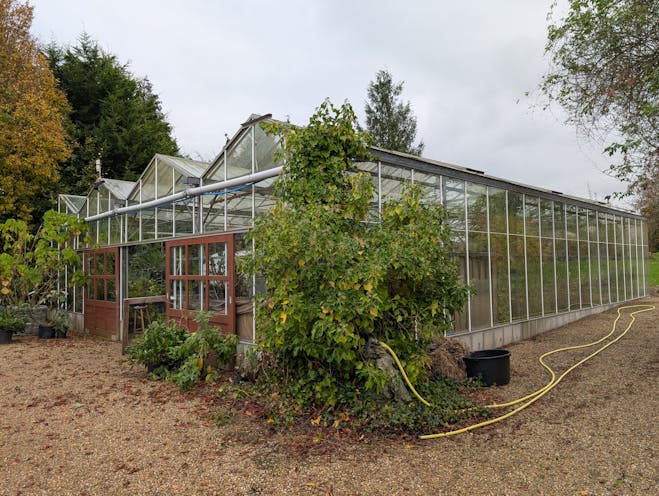 Leydens Garden Nursery, Edenbridge, Leisure / Retail For Sale - PXL_20241029_143310885.jpg