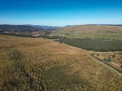 Land at Darrach Hill, Denny, Agriculture Land / Environmental / Farm / Land For Sale - DarrachHill-DRONE-2.jpg