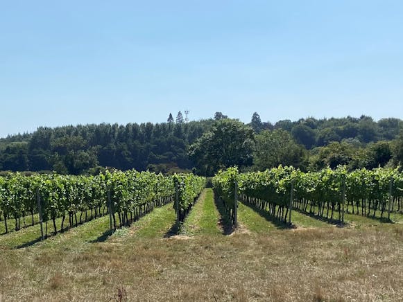 Squerryes Oast, Westerham, Offices To Let - oast 2 august 25.jpg