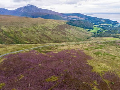 Land by Brodick, Brodick, Agriculture Land / Development / Investment / Land For Sale - Image 9