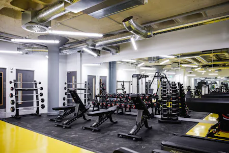 Norfolk House, Milton Keynes, Office To Let - Gym