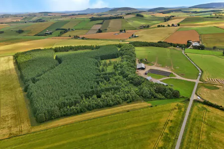 Land at Upper Gariochsford, Upper Gariochsford, Inverurie, Agriculture Land For Sale - Land at Upper Gariochsford-003.JPG