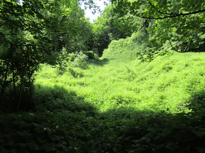 Circa 0.45 Hectare Site, Sundays Well Road, Cork, Land For Sale - Old basketball Court (2).JPG