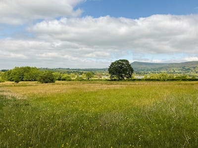 Land at Caeau Ty Mawr, Llangasty, Brecon, Land To Let - 2.jpg