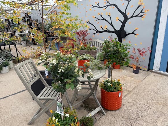 Benston Nursery, Mauchline For Sale - 8c49a58d-1cba-4476-a051-217b87500ea4.JPG