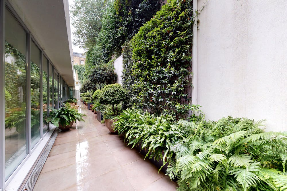 7-9 Whitfield Street - 79WhitefieldSt08202020_121000.jpg