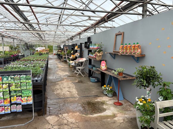 Benston Nursery, Mauchline For Sale - tempImagetCBoIK.jpg