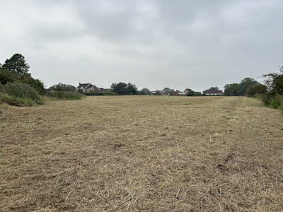 Development Site, Low Road, Boston, Caravan Park - Residential / Development / Residential For Sale - IMG_1288.jpg