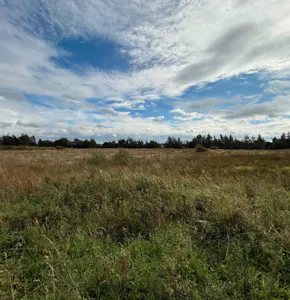 Land at Kelvin / Langlands Business Park, East Kilbride, Glasgow, Development Land For Sale - Screenshot 2026-07-09 at 14.39.20.png