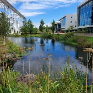 Maxim 5, Maxim Park, Eurocentral, Business Park / Office To Let - 20220912_134808.jpg