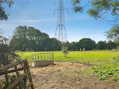 Woods Farm, Wickford, Land For Sale - 06321474-WhatsApp 20Image 202026-06-05 20at 2016.36.58 20 281 29.jpeg