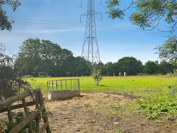 Woods Farm, Wickford, Land For Sale - 06321474-WhatsApp 20Image 202026-06-05 20at 2016.36.58 20 281 29.jpeg