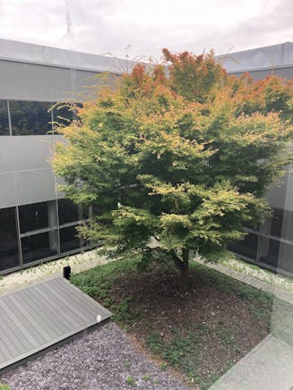 Mulberry Building, Mulberry, Swindon, Office To Let - 20240819 092629.jpg Mulberry Building, Mulberry, Swindon, Office To Let - 20240819 092629.jpg