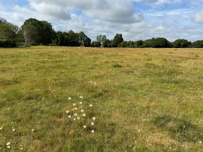 Land West of Blandys Lane, Reading, Land For Sale - View from within Lot 1 looking southwest