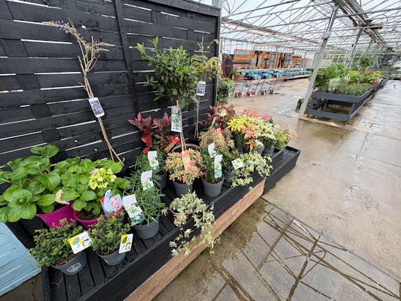 Benston Nursery, Mauchline For Sale - tempImageObpjHN.jpg
