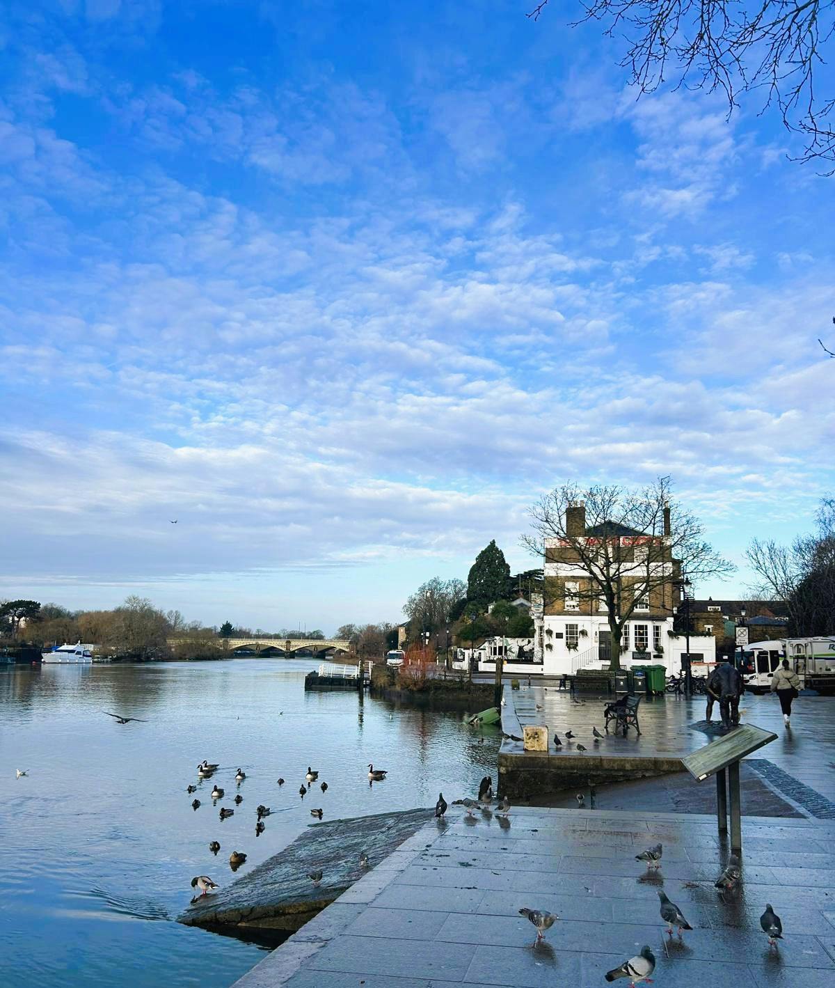 Bridge House, 3 Heron Square - Edited Version 4.jpg