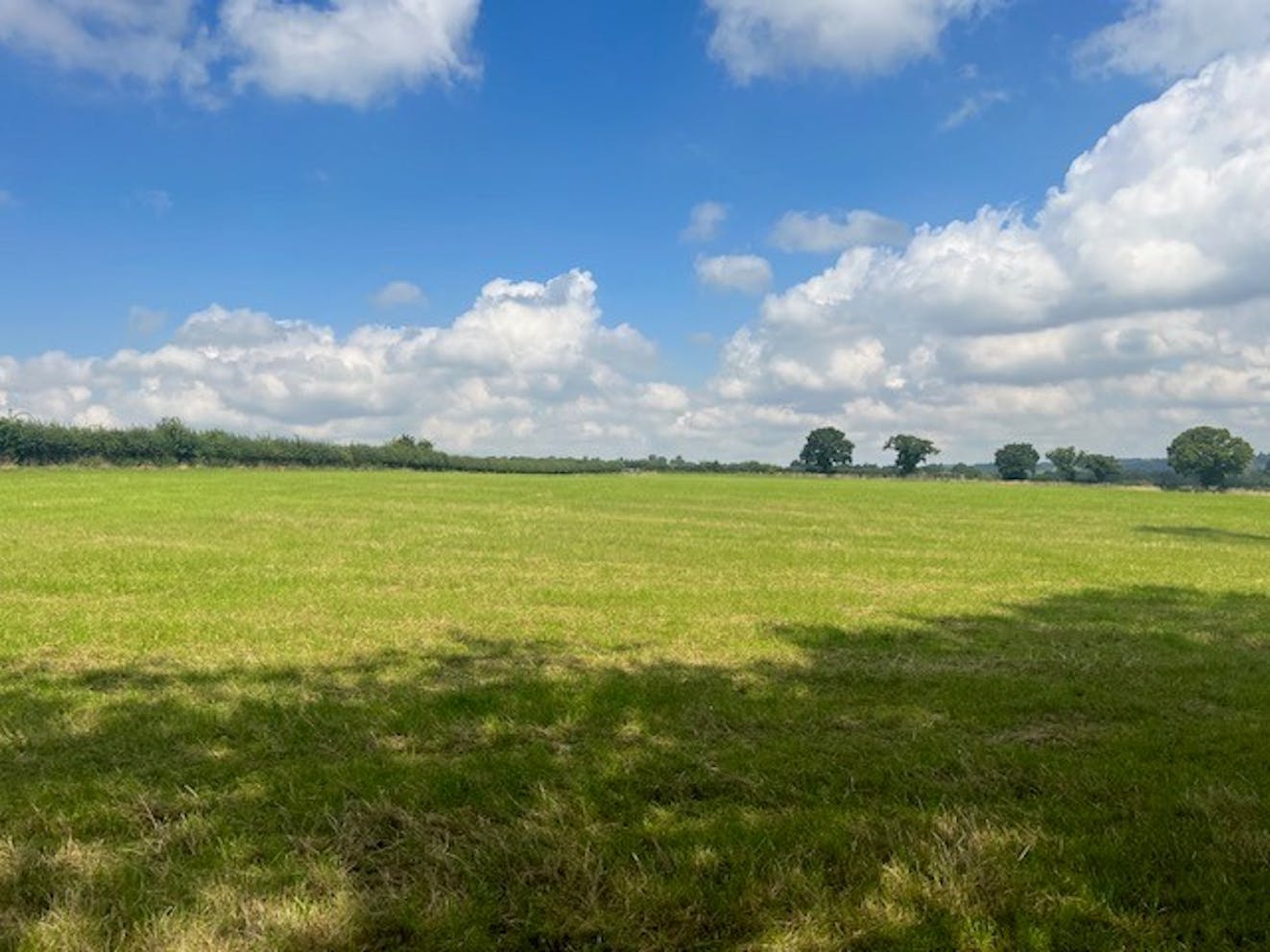 Land at Manor Field, Reading, Development / Residential For Sale - View from within Parcel 1 looking north
