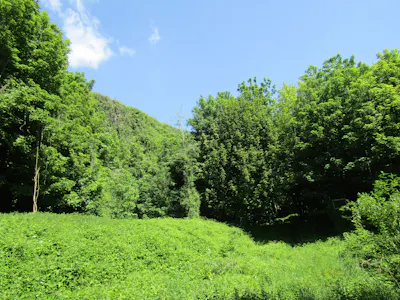 Circa 0.45 Hectare Site, Sundays Well Road, Cork, Land For Sale - old basketball court.JPG