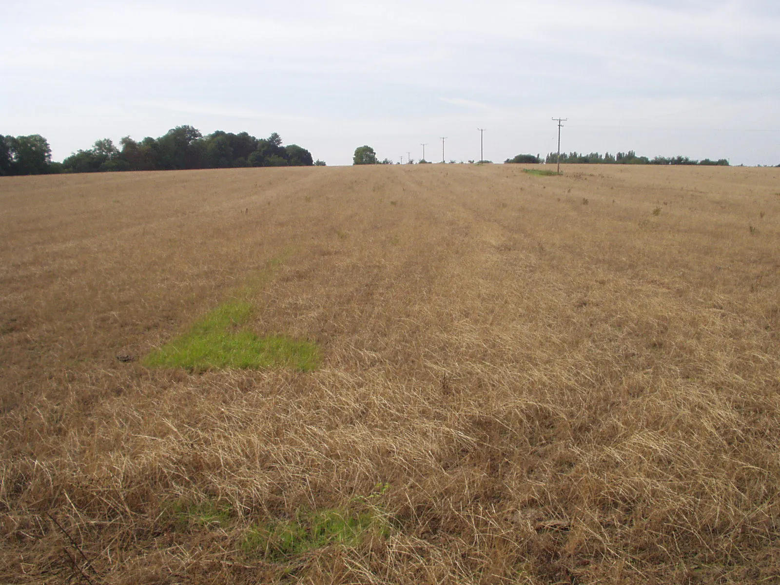 Land West Of Reading Road, Sherfield On Loddon, Development
