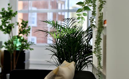Atlantic House, 351 Oxford Street, London, Office To Let - IMG_7372.JPG