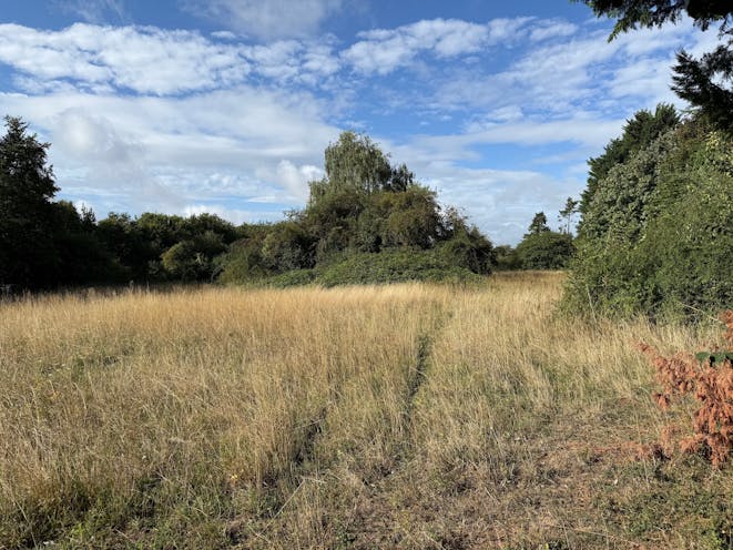 Land to the South West Side of Court Drove, Basingstoke, Residential For Sale - Pic 3  View from within the site looking west