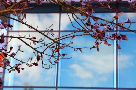 Wellington House, Starley Way, Birmingham, Office To Let - 6eeefe6e8f233b0adfa27e267cbac632.jpg