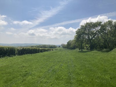 Land Parcels, The Old Racecourse, Lewes, Residential For Sale - IMG_0917.JPG