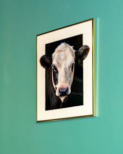 Paddy the Farmers, Old Blackrock Road, Cork City, Licensed Premises For Sale - 0226 Paddy The Farmers (16).JPG