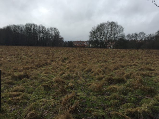 Land South Of Pinchington Lane, Newbury, Newbury, Development / Residential For Sale - IMG6902.JPG
