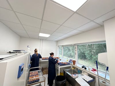 1 Melville Park, Newbridge, Office For Sale - IMG_9175.JPG