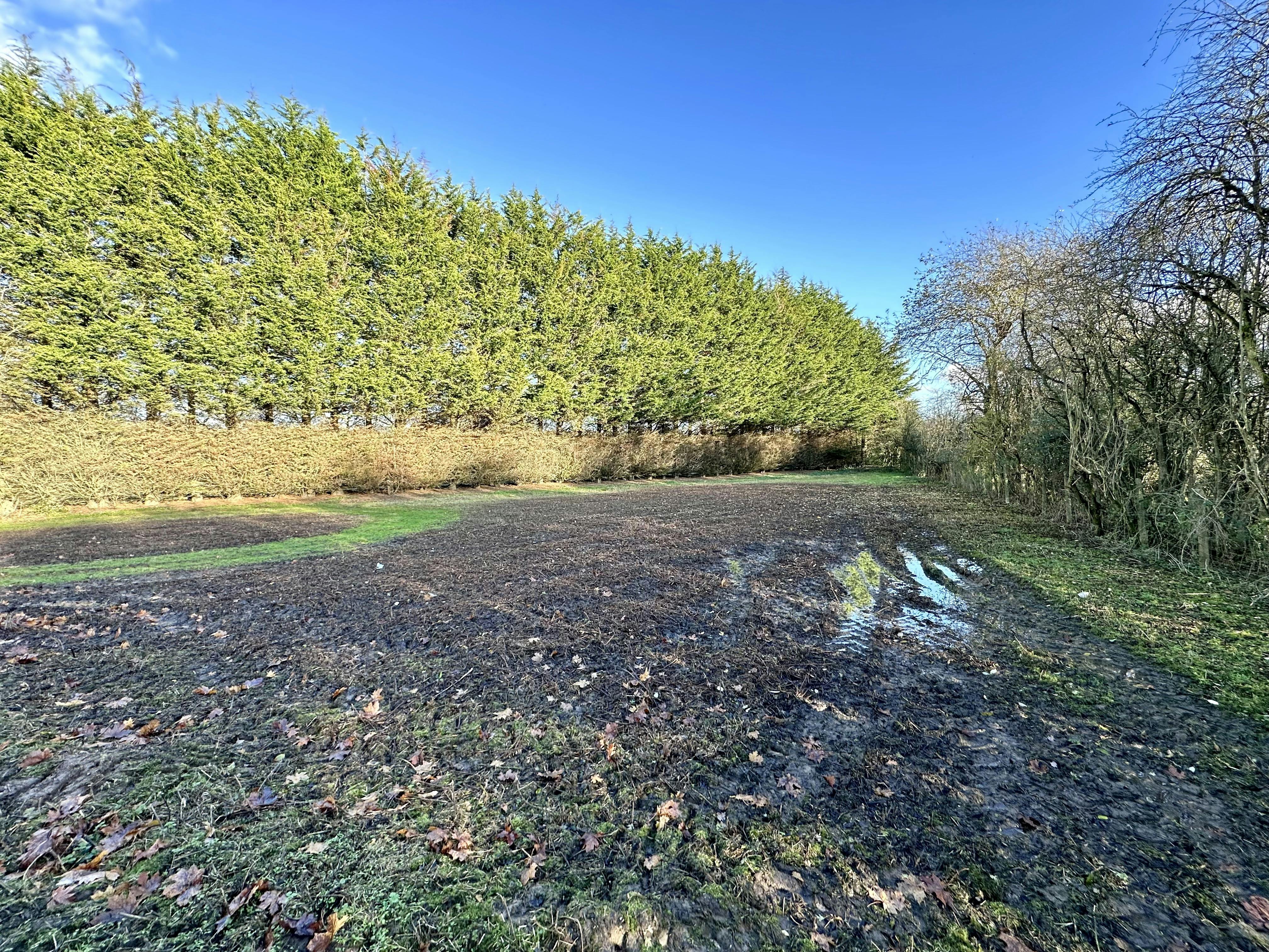 Land and Barn at Church Hill, Waterstock, Industrial / Investment / Land For Sale - IMG_3288.jpeg