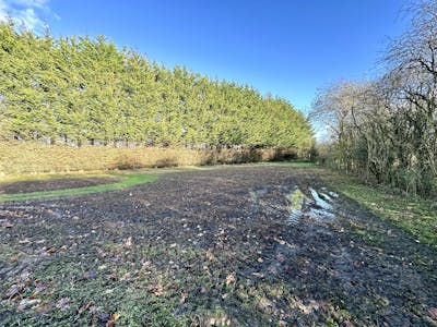 Land and Barn at Church Hill, Waterstock, Industrial / Investment / Land For Sale - IMG_3288.jpeg