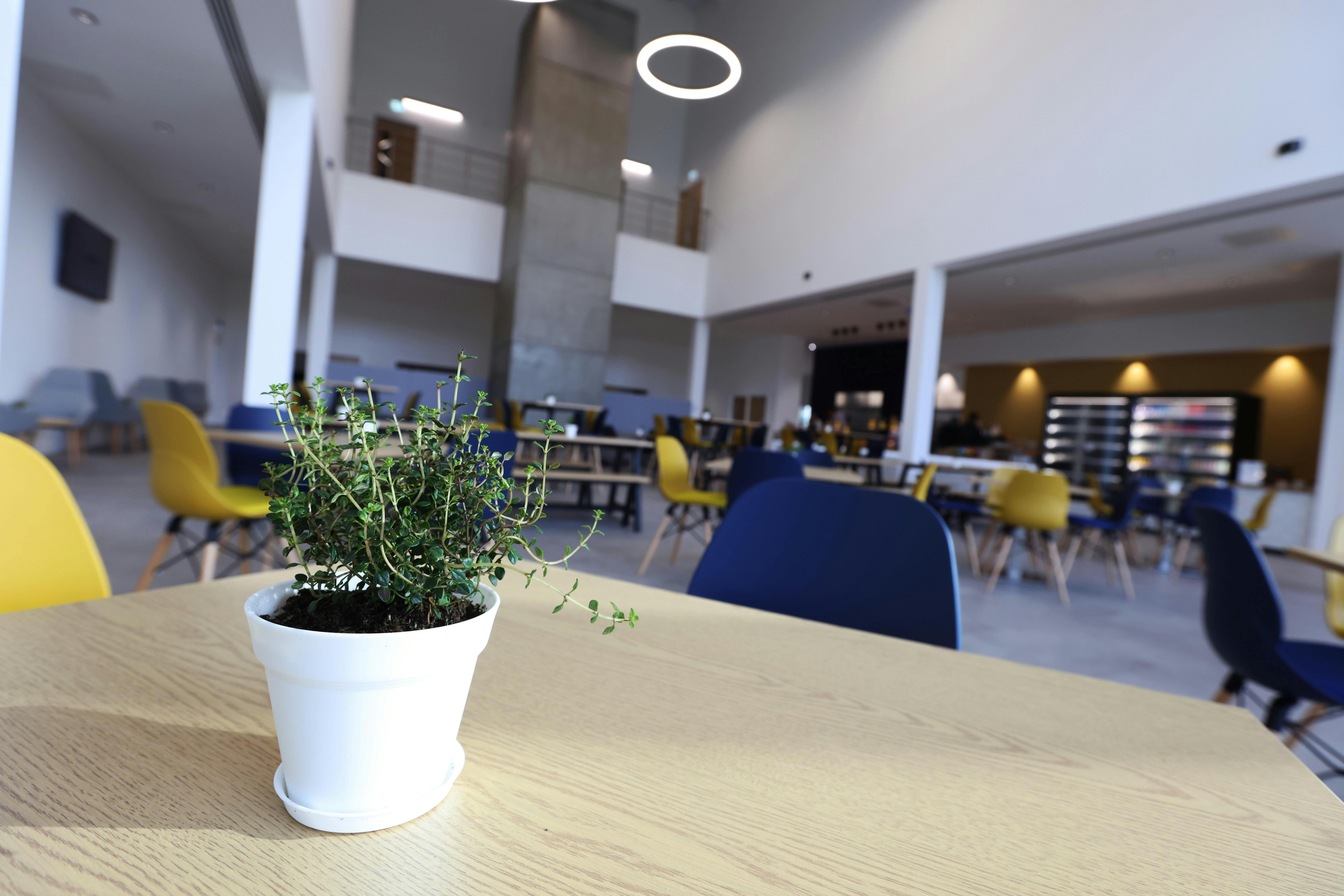 The Skylark - First Floor Offices, Westcott Venture Park, Aylesbury, Offices To Let - Westcott Open Day - ed nix 095.JPG