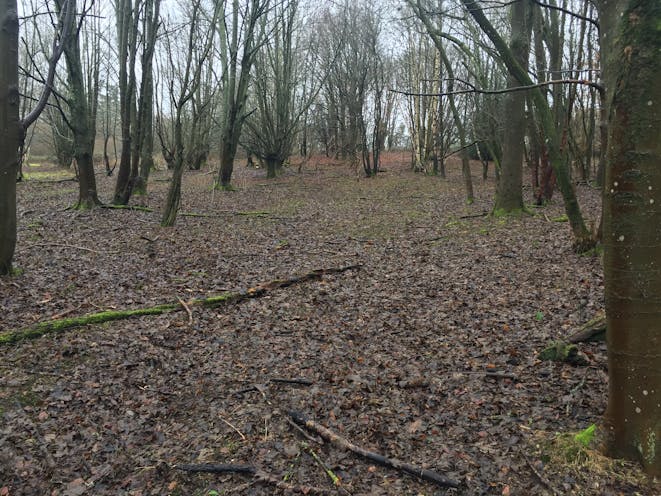 Land South Of Pinchington Lane, Newbury, Newbury, Development / Residential For Sale - IMG6895.JPG