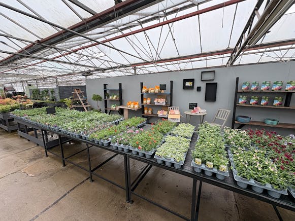 Benston Nursery, Mauchline For Sale - tempImageutTAoU.jpg