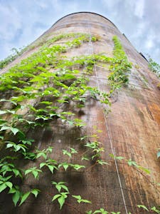 Water Tower Studios, 81-83 Lennox Road, London, Office / Other To Let - 2.jpg