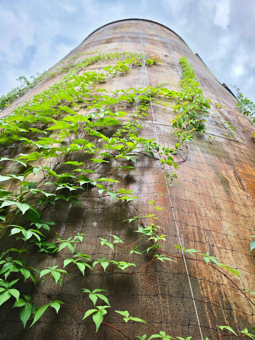 Water Tower Studios, 81-83 Lennox Road, London, Office / Other To Let - 2.jpg