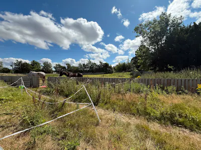 South Melville Farmhouse, Lasswade, Development Site For Sale - Photo 5.jpeg