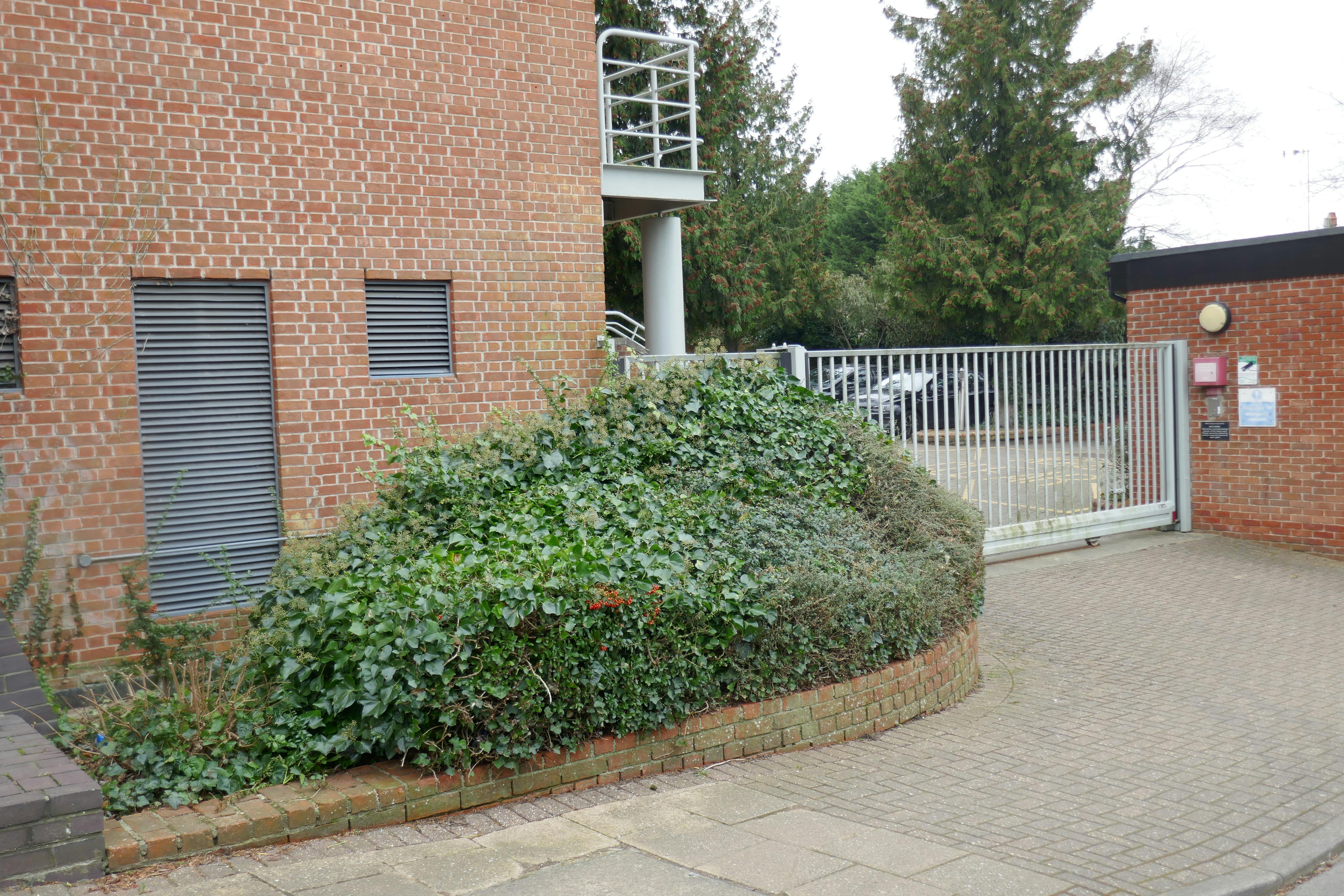 Part Ground Floor, Civic Offices, Epping, Offices To Let - P1020034.JPG