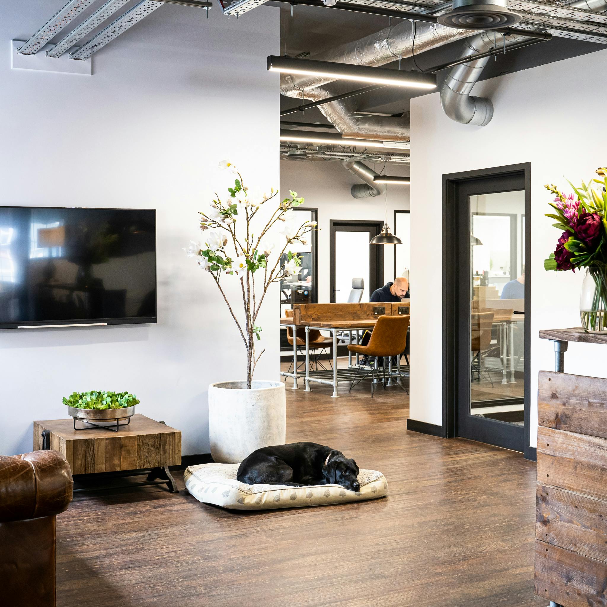 Delta House, Haywards Heath, Office To Let - Freshill interiors SCREEN37.jpg