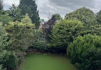 101 The Drive, Hove, D1 (Non Residential Institutions) To Let - Image 14