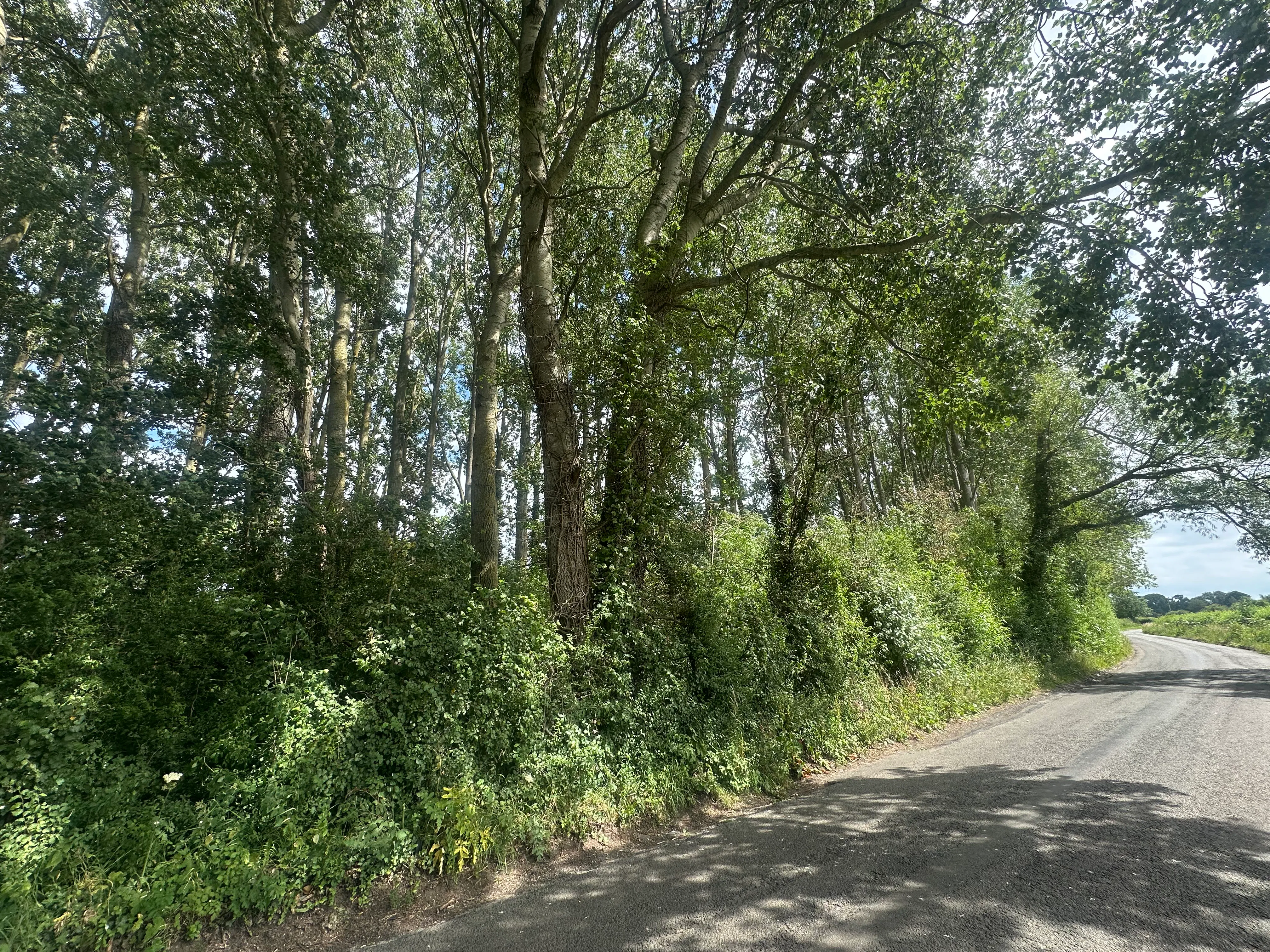 Woodland at Ickford Road, Ickford Road, Ickford, Land / Other For Sale - 1.jpeg