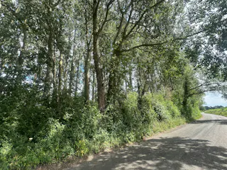 Woodland at Ickford Road, Ickford Road, Ickford, Land / Other For Sale - 1.jpeg