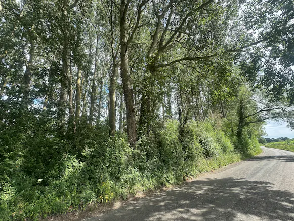Woodland at Ickford Road, Ickford Road, Ickford, Land / Other For Sale - 1.jpeg