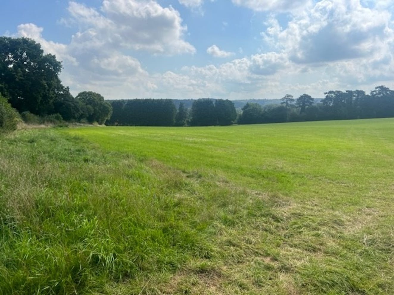 Land at Manor Field, Reading, Development / Residential For Sale - View from within Parcel 1 looking east