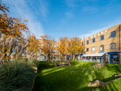 Thames Wharf Studios, London, Office To Let - 2024 11 11 0075.jpg