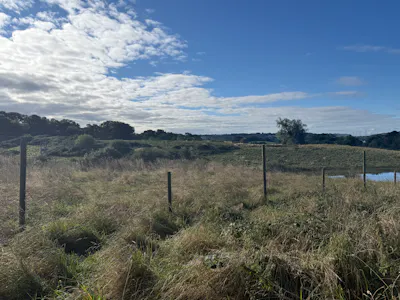 Land by Banton Road, By Banton Mill, Near Kilsyth, Agriculture Land To Let - 20260909_084544975_iOS.jpg