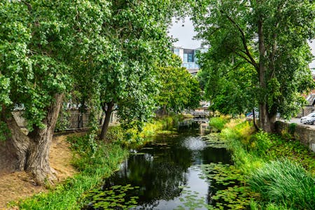 Lower Ground Floor, 100 Mount Street Lower, Dublin 2, Office To Let - JLL_100MountStreet_Amenities2.jpg